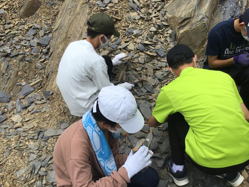 南三陸町歌津地区にて化石の採取体験